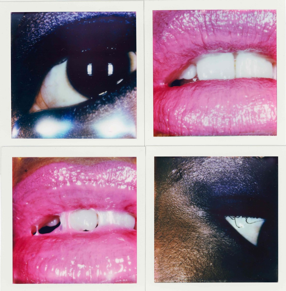pola_md_ec_assemblage_04